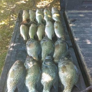 Meet your Posher, Gilberto